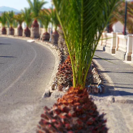 Castillo كاليتا ذي فوستي