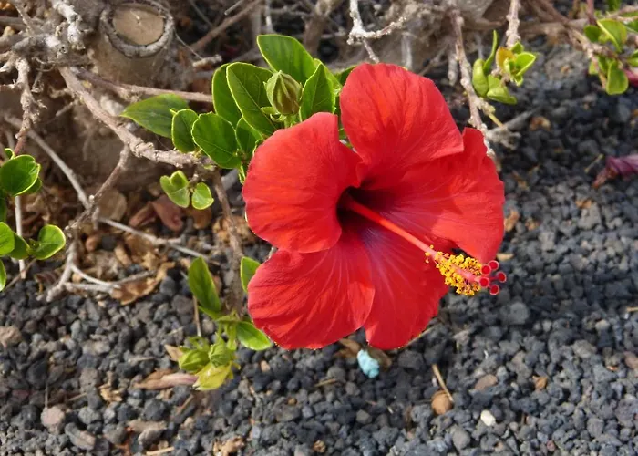 Castillo קלטה דה פוסטה